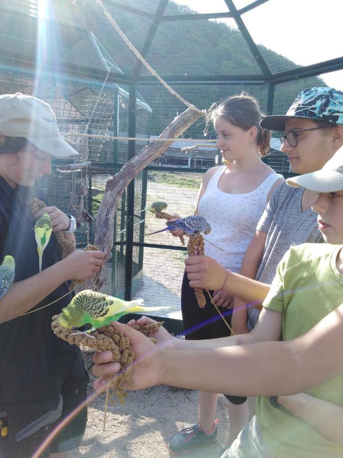 두시에르 Parc Animalier Du Herisson 빌라 외부 사진