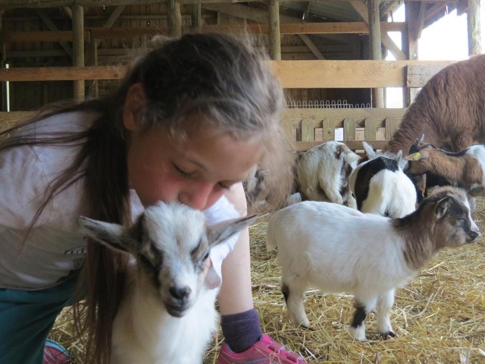 두시에르 Parc Animalier Du Herisson 빌라 외부 사진