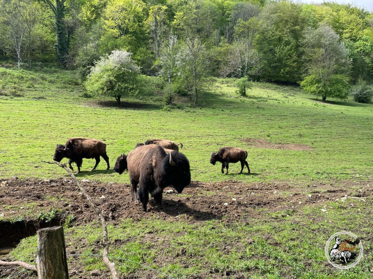 두시에르 Parc Animalier Du Herisson 빌라 외부 사진